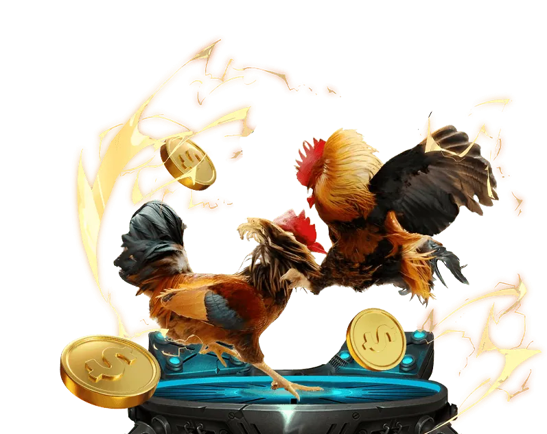 Hình ảnh: Cá cược có trách nhiệm tại hello88 vip1